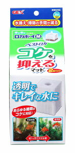 GEX J{[C xXgJ RP}ߍ 2M