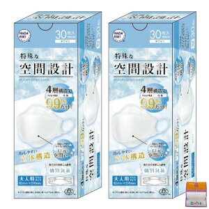 y2ZbgzHADARIKI ȋԐ݌v}XN sDz  30×2i60j ƃMtgt