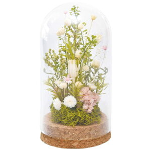 RNKXh[ ԃAW vU[uht[ hCt[