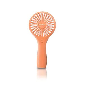 PRISMATEivYCgj[dXnfBt@ lbNXgbvt PR-F030 (R[sNiCKj)