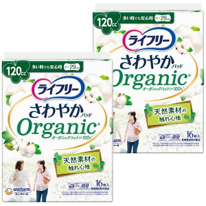 yApbh 120cczCt[ ₩pbh I[KjbNRbg p łSp 32 (16×2pbN) 29cm (Wbƃ)