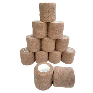 ASPALAND e[v  e[sO GX`bN of[W ȔS Lk e