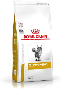 CJi L Lbgt[h i[ S/O AH Ö@H hC lR 얞 (2kg, X^_[h)
