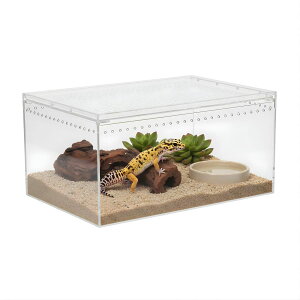 SESHIS ঒ P[W {bNX  P[X AN   VF^[  