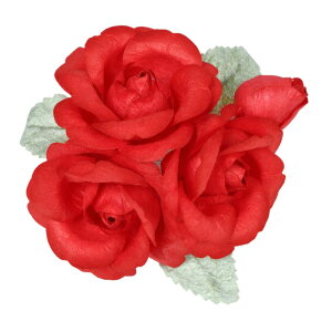 Rose7 荗agp ΂  RT[W u[` 2WAY Nbv s tH[} fB[XANZT[