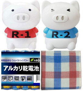 ̑u[u[ R1 & R2 i WȊ &  j × 2Zbg y Pldr4{ + ^It z