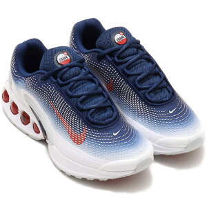 [iCL] GA }bNX DN AIR MAX DN zCg/u[/bh FV2250-100