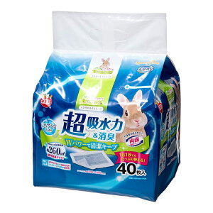 �}���J�� �������̃g�C���V�[�c 40��