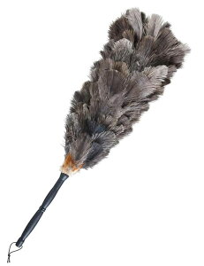 ԗpi쏊 т΂ R[eBO{HԑΉ