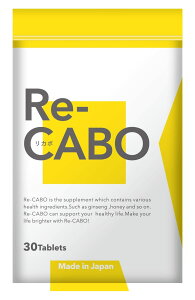Re-CABO i J{ j 4̃WZ IGLX }kJnj[ Ïk
