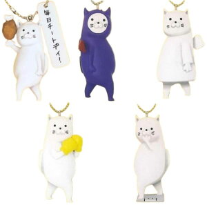 gCYLr RI} ~jtBMAL[`F[ × S5Zbg tRv K`K` JvZgC