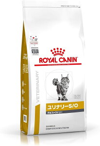 CJi L Lbgt[h i[ S/O It@Ng[ 2kg AH Ö@H hC lR 얞 (2kg, It@Ng[)
