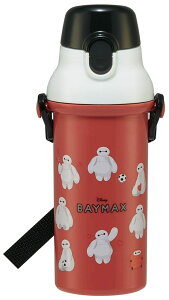 XP[^[ (skater) qp vX`bN  480ml R fBYj[ xC}bNX { PSB5SANAG-A