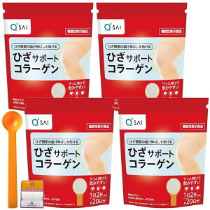 y4܃ZbgzL[TC ЂT|[gR[Q  100g×4 pvʃXv[t Anniversarich v`Mtgt