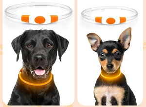 yAmazon.co.jpzƂ̐a ̌ 񂱗l F500mŖԂS  L   Cg  UUSB [d