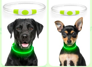 yAmazon.co.jpzƂ̐a ̌ 񂱗l F500mŖԂS  L   Cg  UUSB [d