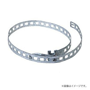 〔即納〕LED防犯灯 コンクリート柱用バンド IBT-312 岩崎電気(IBT312)