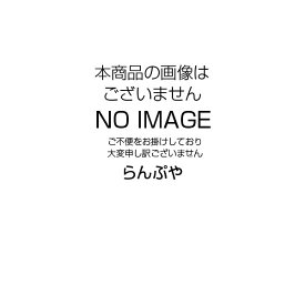 HIDランプ ハイラックス NHT100SDX 岩崎電気