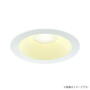 �k���[�lLED�_�E�����C�g �d���F AD7204W27 �R�C�Y�~�Ɩ�