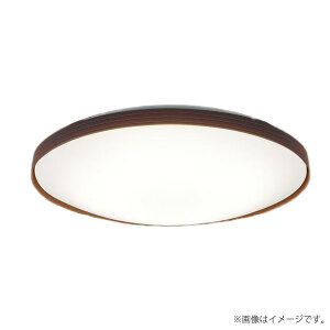 �k���[�lLED�V�[�����O���C�g 10�� LGC41158K �p�i�\�j�b�N