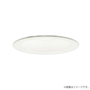 �k���[�lLED�_�E�����C�g �����F LGD3108VLE1�iLGD3108V LE1�j�p�i�\�j�b�N