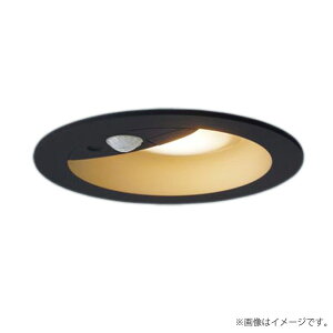 �k���[�lLED�_�E�����C�g �d���F LGDC1105LLE1�iLGDC1105L LE1�j�p�i�\�j�b�N