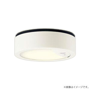 �k���[�lLED�_�E���V�[�����O���C�g LGWC51551LE1�iLGWC51551 LE1�j�p�i�\�j�b�N