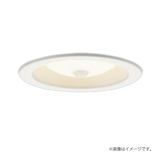 �k���[�lLED�_�E�����C�g �Z�b�g �d���F XAD3100LCS1�iLGD9100K+LLD4000L CS1�jXAD3100L CS1 �p�i�\�j�b�N