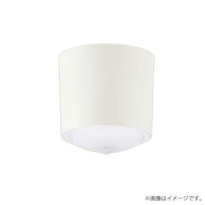 �k���[�l���^ LED�V�[�����O���C�g �Z�b�g XLGB3000CS1�iLGB58100+LLD2000N CS1�jXLGB3000 CS1 �_�E���V�[�����O���C�g �p�i�\�j�b�N