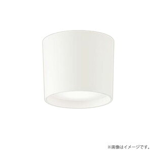 �k���[�l���^ LED�V�[�����O���C�g �Z�b�g XLGB3001CE1�iLGB58100+LLD2000V CE1�jXLGB3001 CE1 �_�E���V�[�����O���C�g �p�i�\�j�b�N
