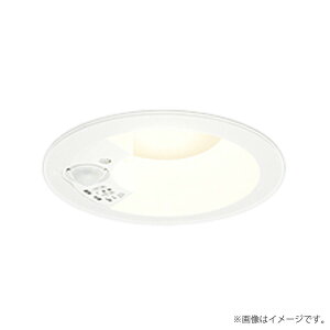 �k���[�lLED�_�E�����C�g �d���F OD261742R �I�[�f���b�N