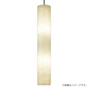 LED�y���_���g���C�g LGB19306F �p�i�\�j�b�N