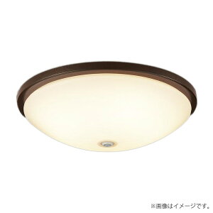 LED�V�[�����O���C�g LGBC81046LE1�iLGBC81046 LE1�j�p�i�\�j�b�N