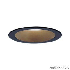 �k���[�lLED�_�E�����C�g LGD1109LLE1�iLGD1109L LE1�j�p�i�\�j�b�N