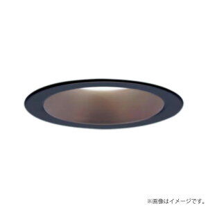 �k���[�lLED�_�E�����C�g LGD1109VLE1�iLGD1109V LE1�j�p�i�\�j�b�N