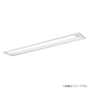 XDL452RGNLE9�iNNLG42819C+NEL4505GN LE9�jXDL452RGN LE9 LED��퓔 ���p�Ɩ���� �Z�b�g �p�i�\�j�b�N