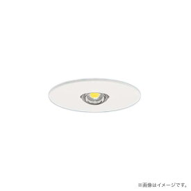 LED非常灯 昼白色 NNFB84605 非常用照明器具 パナソニック