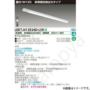 LEKTJ412524DLS9�iLEETJ-41202-LS9+LEEM-40523D-01�jLEKTJ412524D-LS9 LED��퓔 ���p�Ɩ���� �Z�b�g ���Ń��C�e�b�N