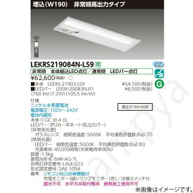 LEKRS219084NLS9（LEERS-21903-LS9+LEEM-20083N-01）LEKRS219084N-LS9 LED非常灯 非常用照明器具 セット 東芝ライテック