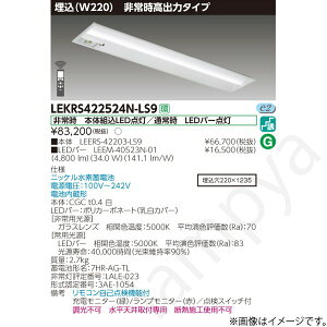 LEKRS422524NLS9�iLEERS-42203-LS9+LEEM-40523N-01�jLEKRS422524N-LS9 LED��퓔 ���p�Ɩ���� �Z�b�g ���Ń��C�e�b�N