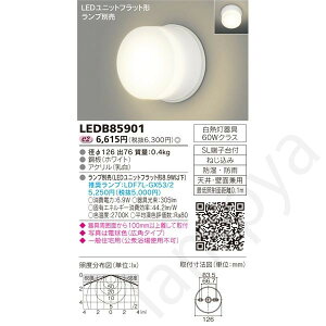 LED�u���P�b�g ���O�p LED���j�b�g�t���b�g�` LEDB85901 ���Ń��C�e�b�N