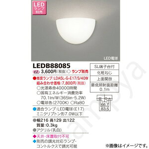LED�u���P�b�g���C�g LEDB88085 ���Ń��C�e�b�N