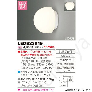 LED������ LEDB88919 ���Ń��C�e�b�N