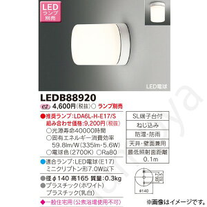 LED������ LEDB88920 ���Ń��C�e�b�N
