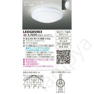LED�V�[�����O���C�g ���^ ���O�p LED���j�b�g�t���b�g�` LEDG85903 ���Ń��C�e�b�N