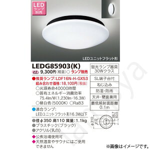 LED������ LEDG85903(K)(LEDG85903K) ���Ń��C�e�b�N