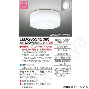 LED������ LEDG85915(W)(LEDG85915W) ���Ń��C�e�b�N