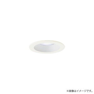 LED�_�E�����C�g �����F LGD1000NLE1�iLGD1000N LE1�j�p�i�\�j�b�N