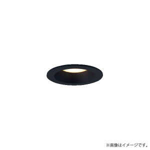 LED�_�E�����C�g �d���F LGD1001LLE1�iLGD1001L LE1�j�p�i�\�j�b�N
