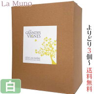 エステザルグ協同組合 レ グラン ド ヴィーニュ ブラン 白ワイン 3000ml BIB コート デュ ローヌ地方 ビ…
